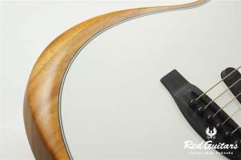 Acoustasonic Player Telecaster - Arctic White